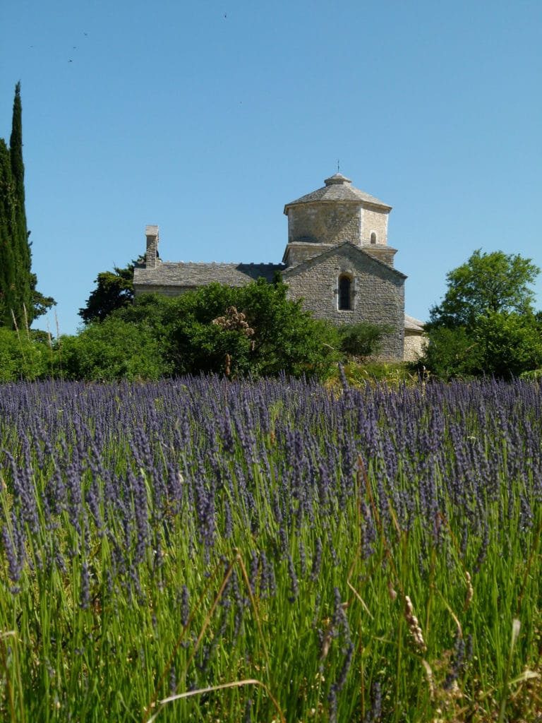 13719653473_f8d83e3ea5_k