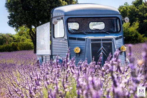 camionnette-musee-lavande