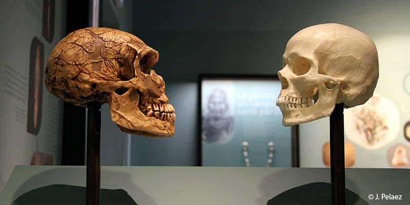 cite-prehistoire-sortie-famille-ardeche