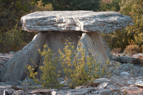 dolmen-du-bois-des-geantes-foret-de-laoul-ardeche