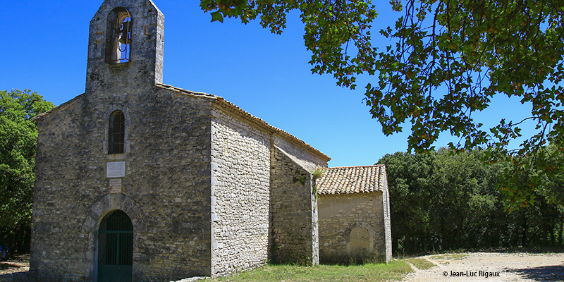 foret-laoul-chapelle-de-chalon-ardeche