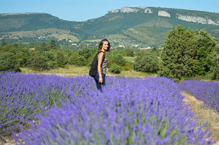 plateau-des-lavandes-porte-provence-ardeche-2