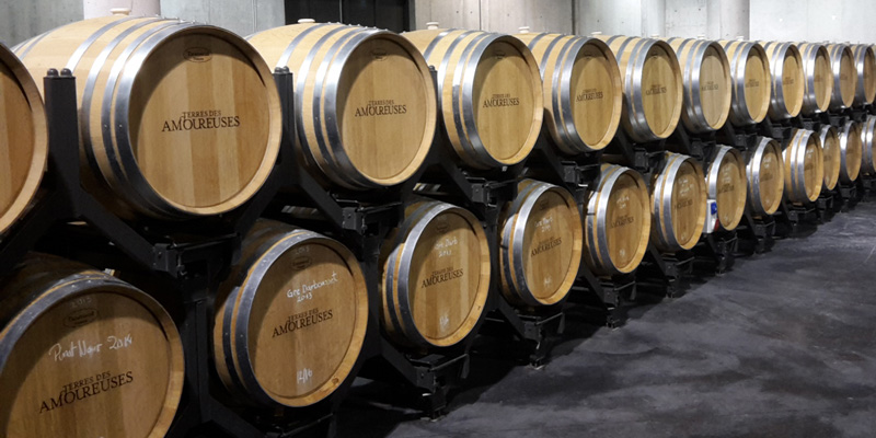 visite-vingeron-ardeche-tonneau