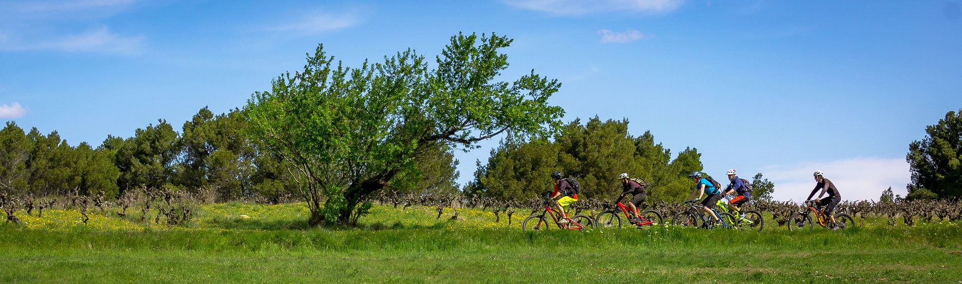 vtt-dans-les-vignes-ardeche